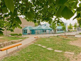 Frühling 354x235-8.jpg